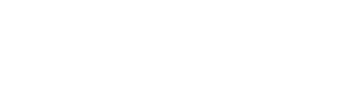 SAVe 2025 Logo